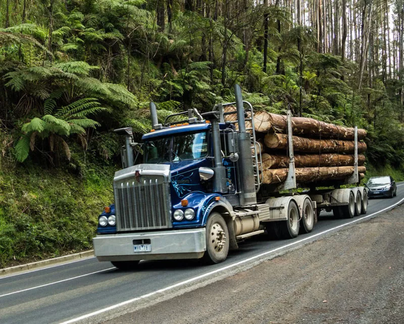 logging truck