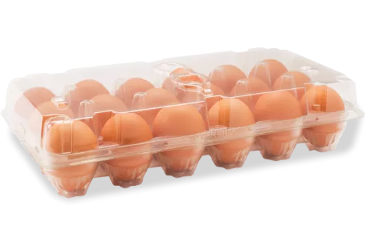 Clear Egg Carton