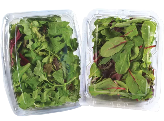 Hinged Salad Container
